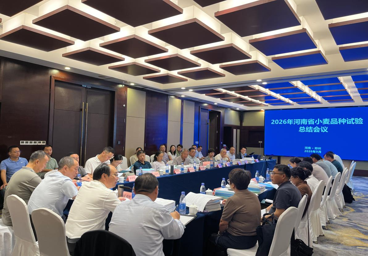 2026年河南省小麦品种试验总结会议在郑州召开